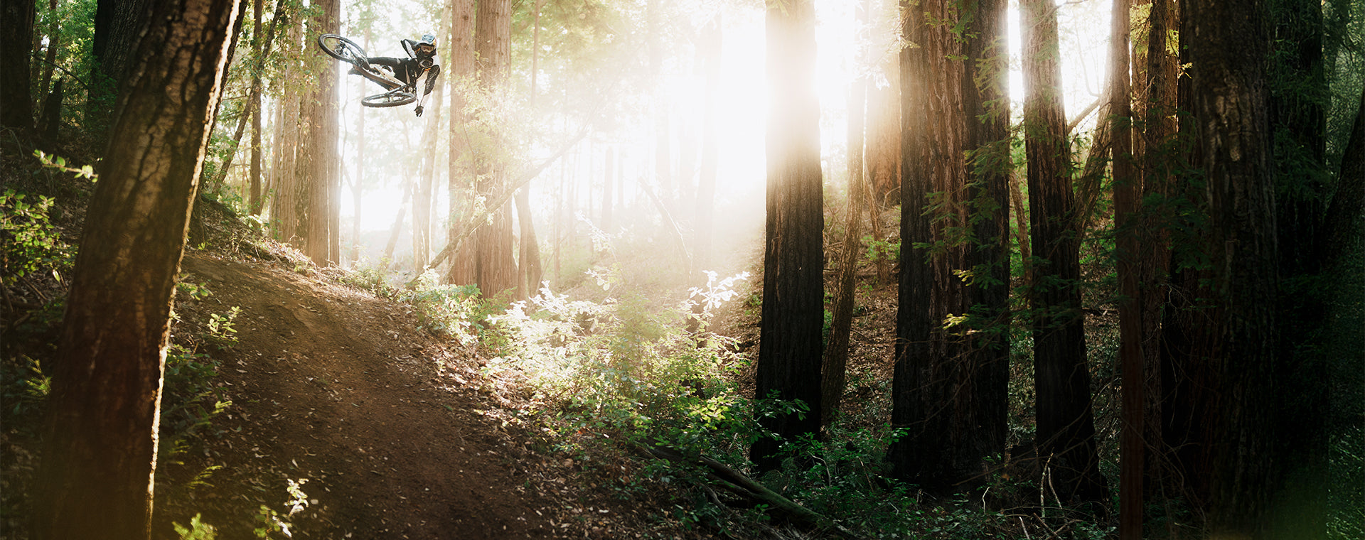 Mountain Bike rider in the forest